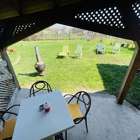 Greenpark Garden Villa Family Apartments Near Tokaj Серенч Екстер'єр фото