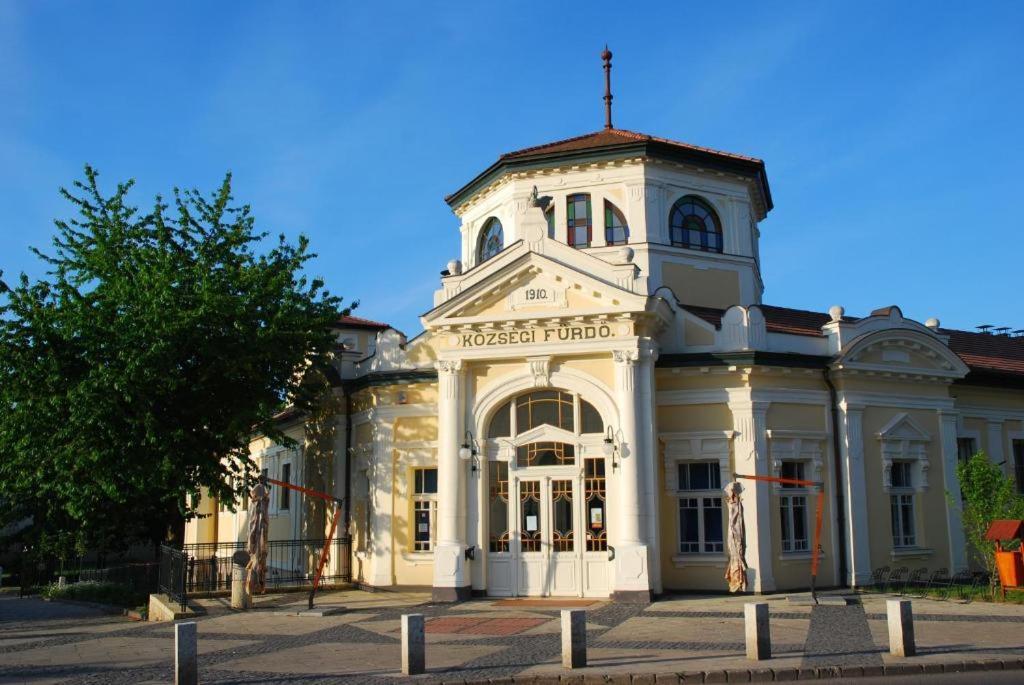 Greenpark Garden Villa Family Apartments Near Tokaj Серенч Екстер'єр фото