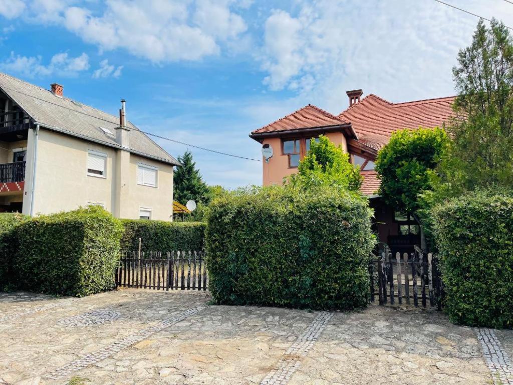 Greenpark Garden Villa Family Apartments Near Tokaj Серенч Екстер'єр фото