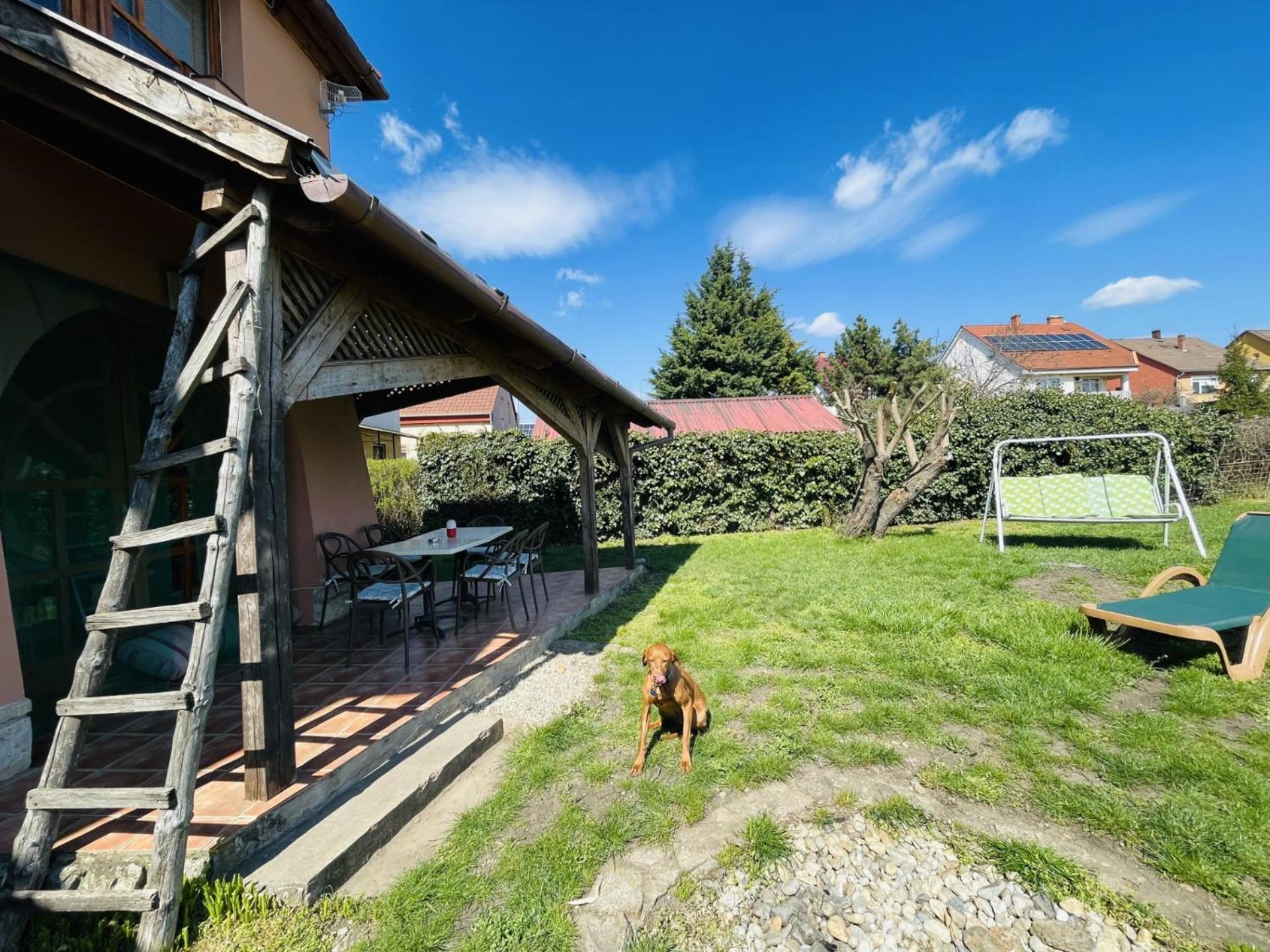 Greenpark Garden Villa Family Apartments Near Tokaj Серенч Екстер'єр фото