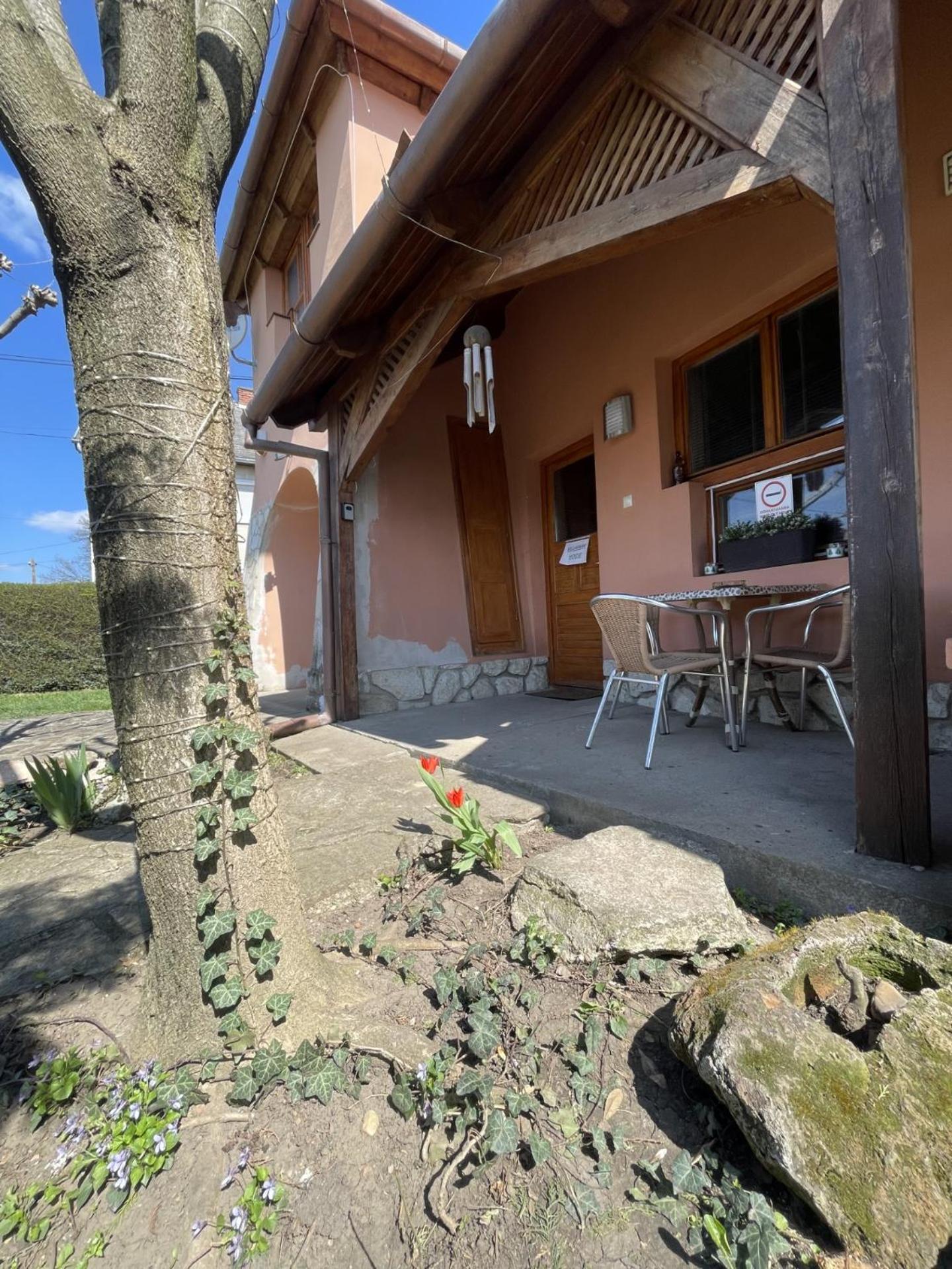 Greenpark Garden Villa Family Apartments Near Tokaj Серенч Екстер'єр фото