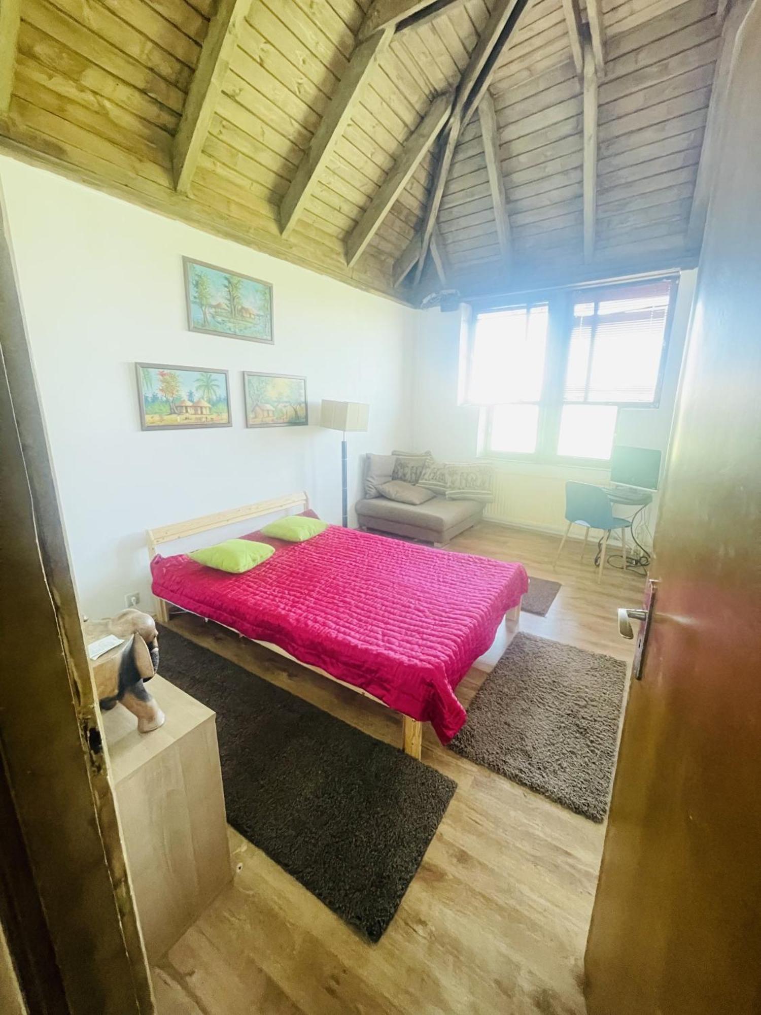 Greenpark Garden Villa Family Apartments Near Tokaj Серенч Екстер'єр фото