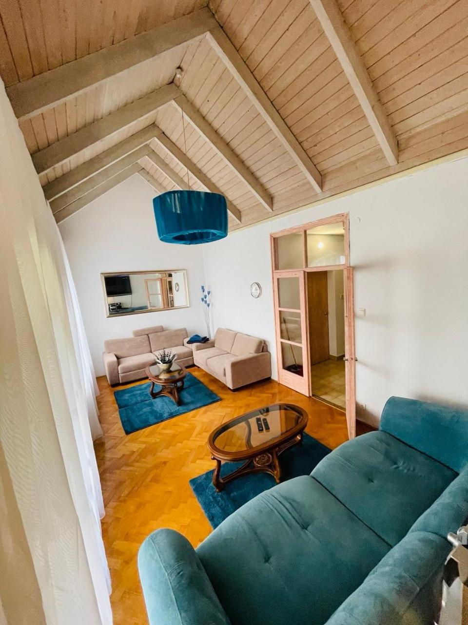 Greenpark Garden Villa Family Apartments Near Tokaj Серенч Екстер'єр фото